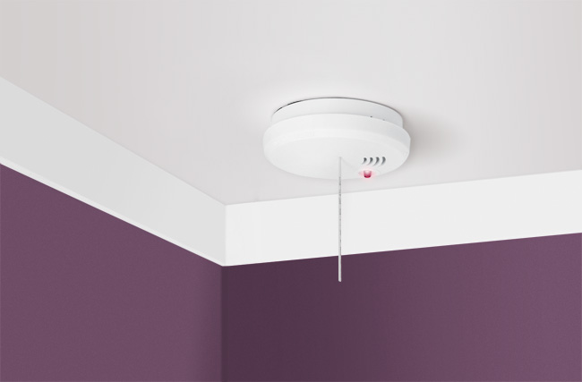 be1480-environment-650x427