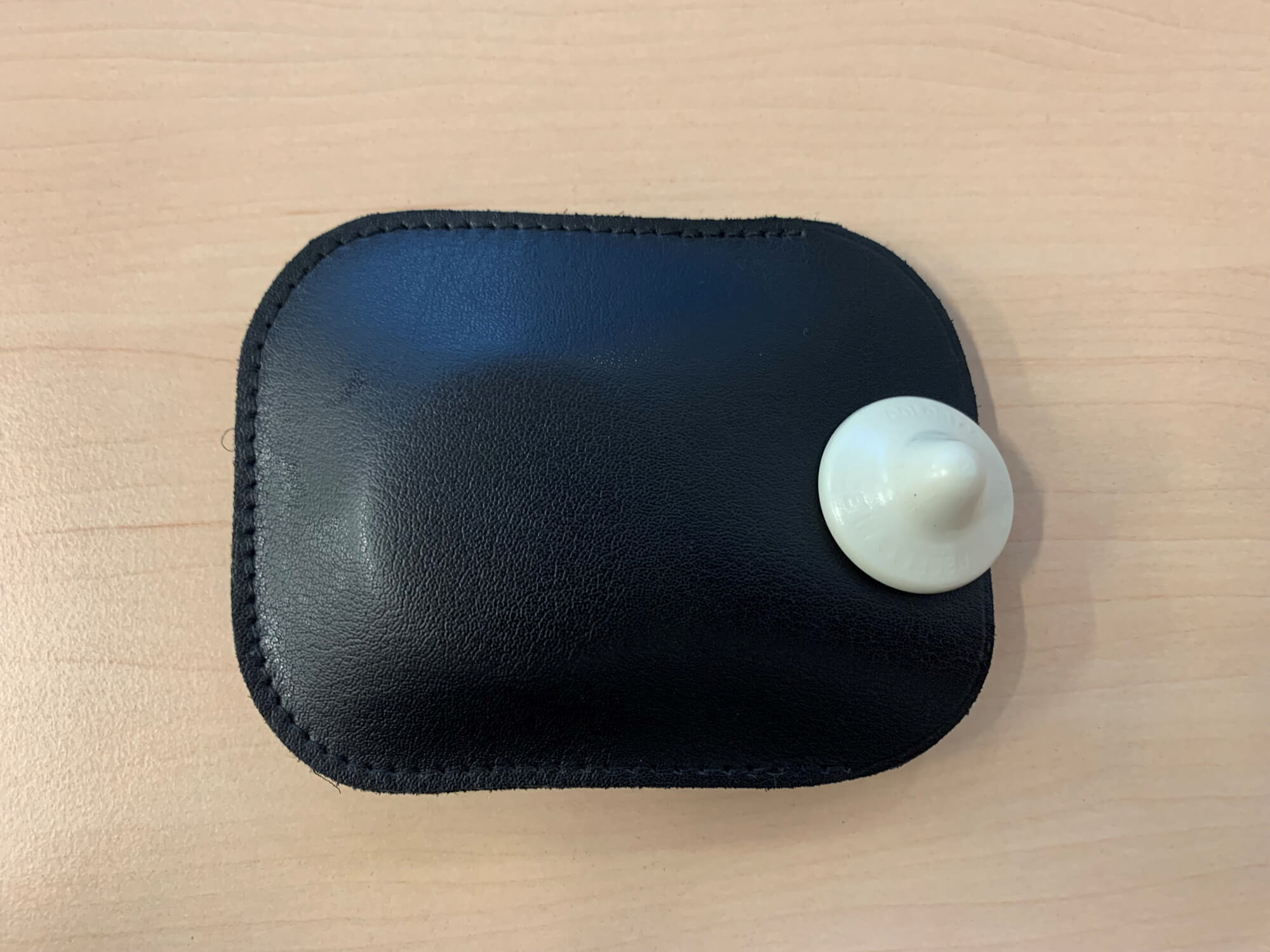 Otiom_in_Ledertasche_L_Colortag02