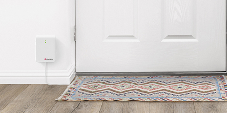 matte_bellman_460x230