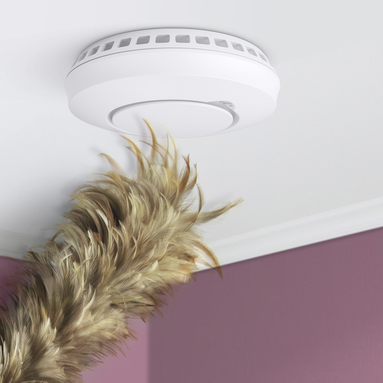 be1481-smoke-alarm-dusting-1500x1500 Bellman&Symfon Funk-Rauchmelder BE1481 unter der Decke